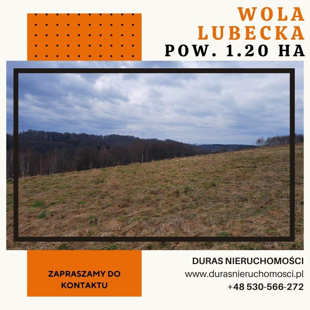 Wola Lubecka działka budowlano-rolna 1,20 ha