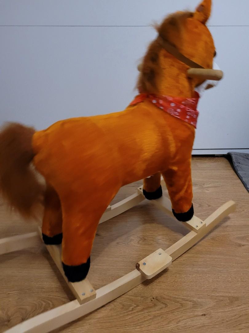 Konik na biegunach
