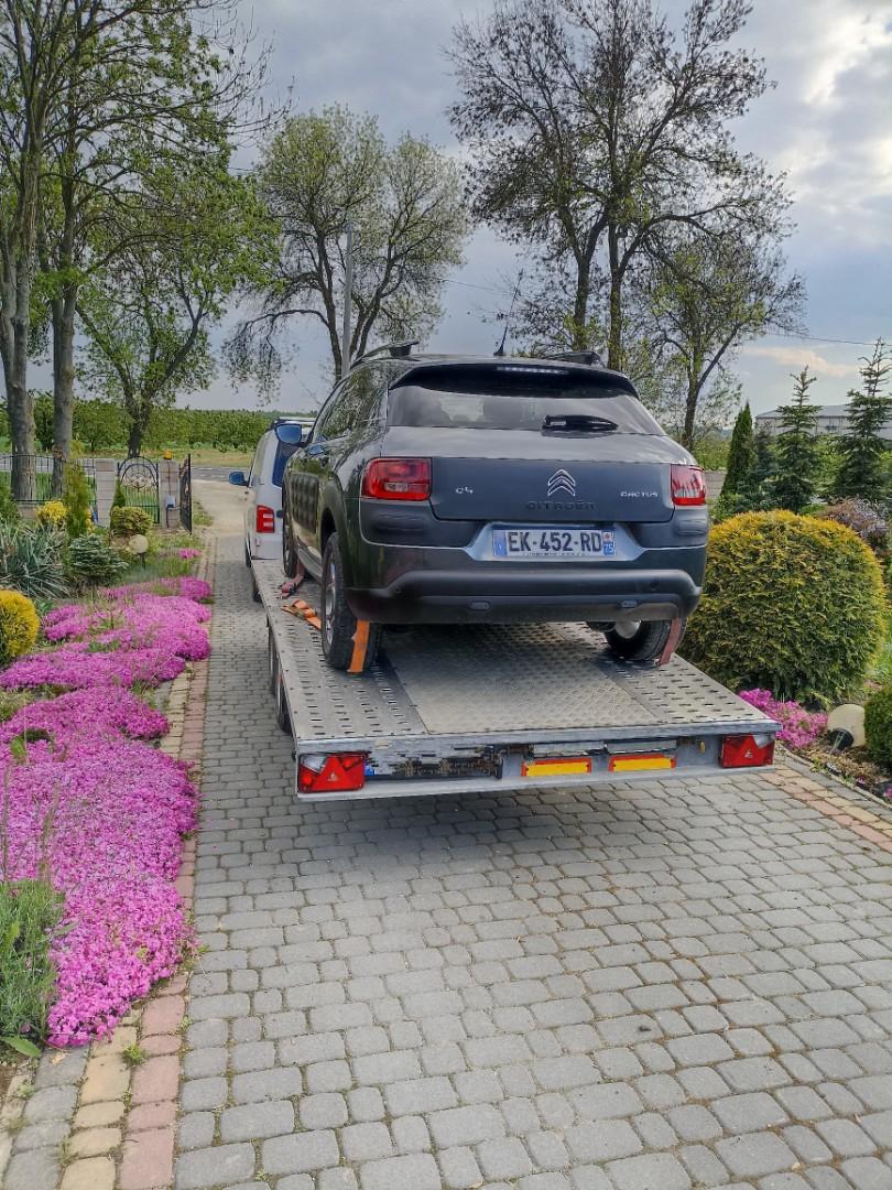 Laweta samochodowa Niewiadów Jupiter 4,5m2m wynajem i transport b2b