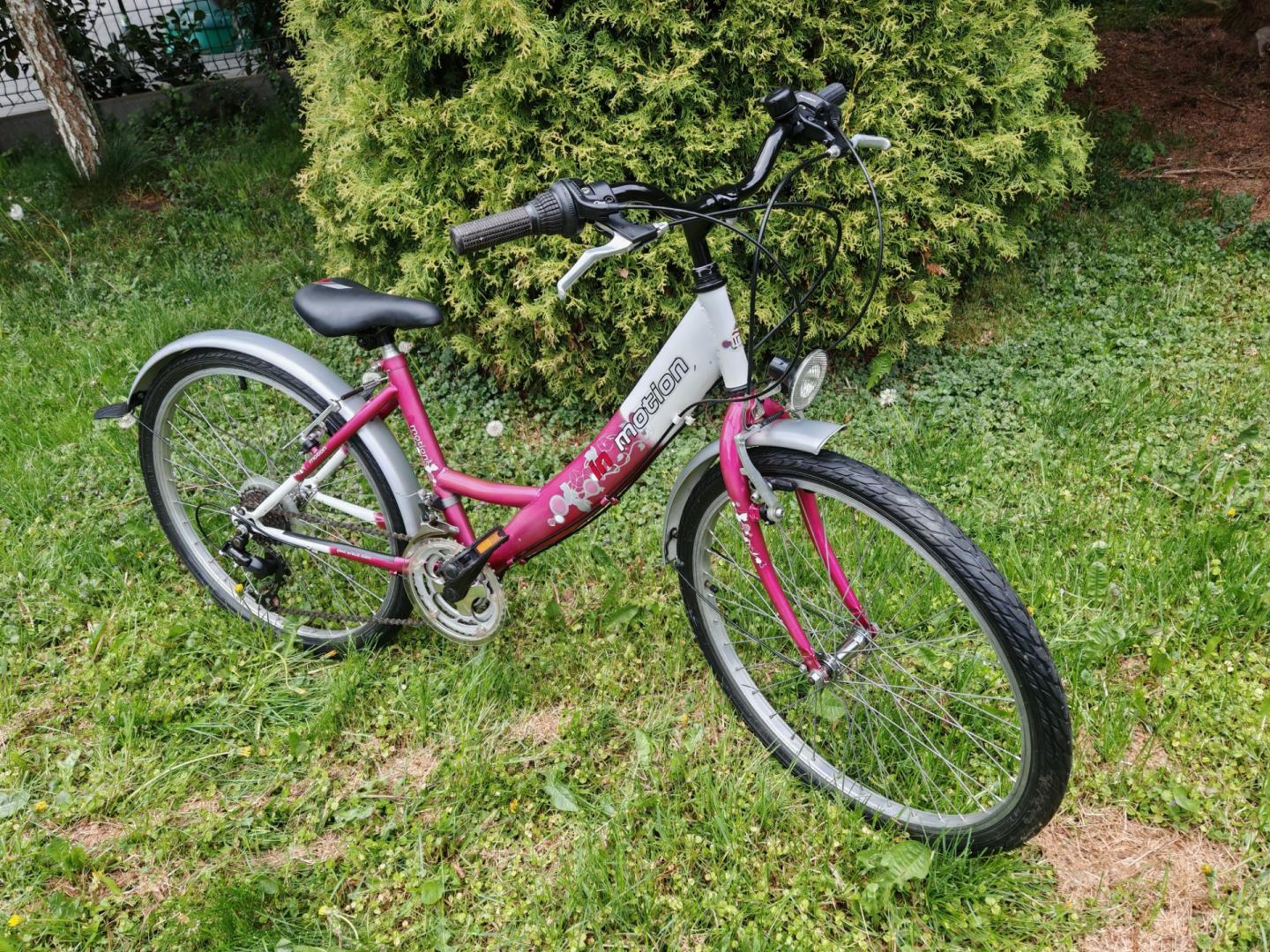 Rower Arkus In Motion - koła 24