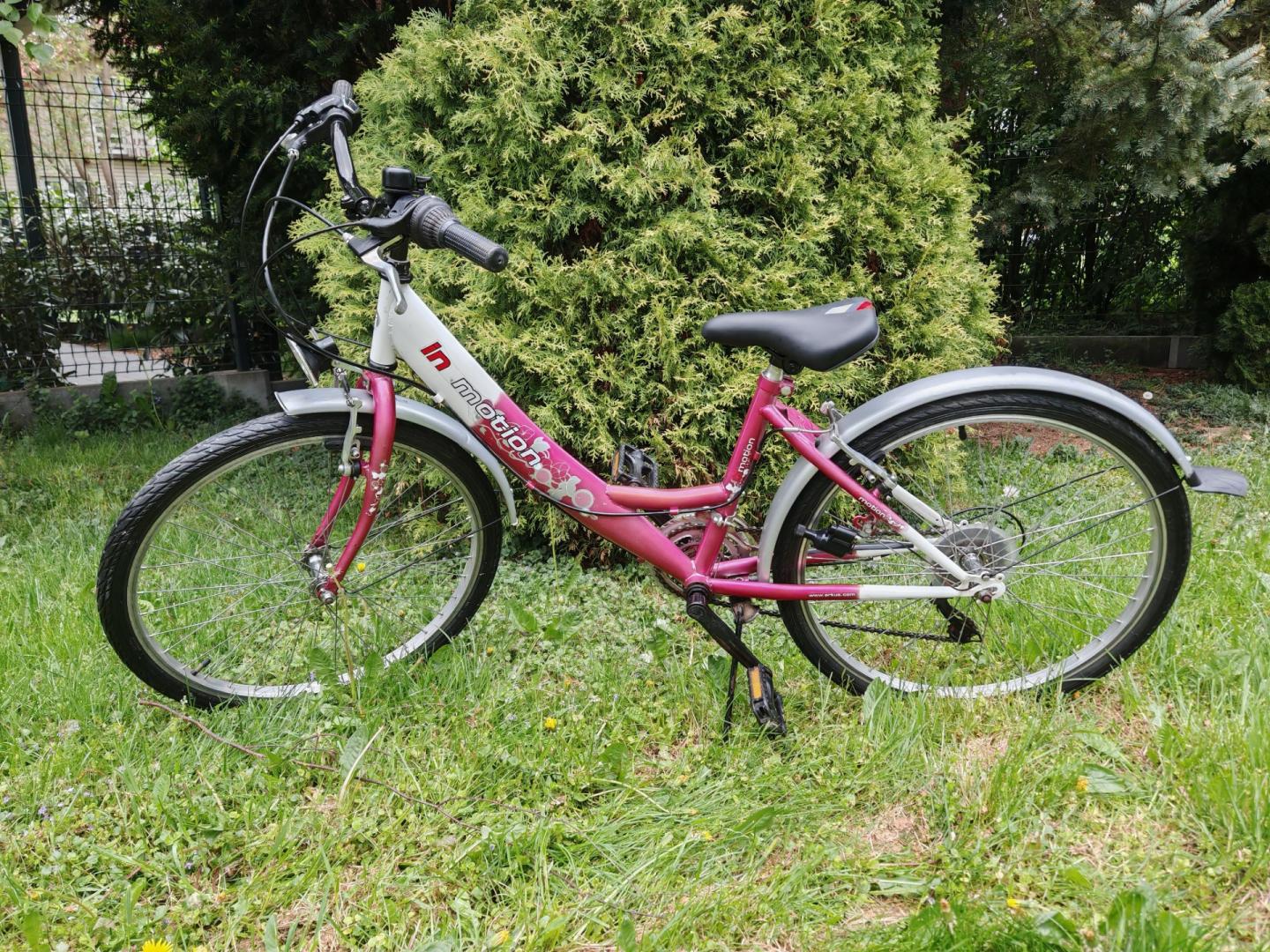 Rower Arkus In Motion - koła 24