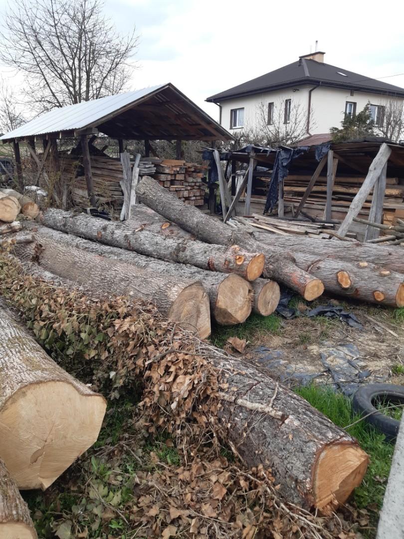 Kloce dłużyca kłody
