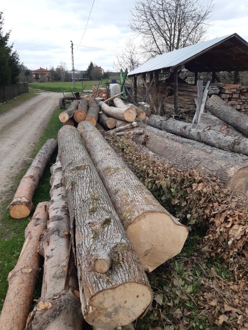 Kloce dłużyca kłody