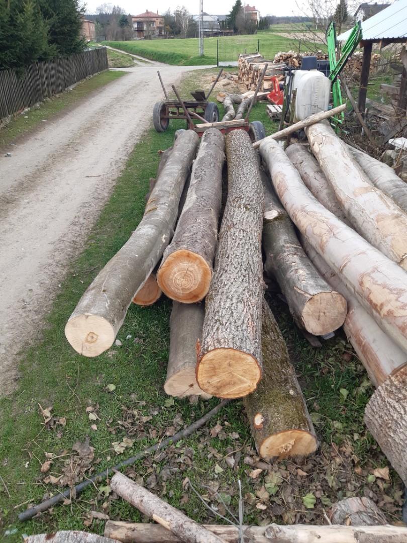 Kloce dłużyca kłody