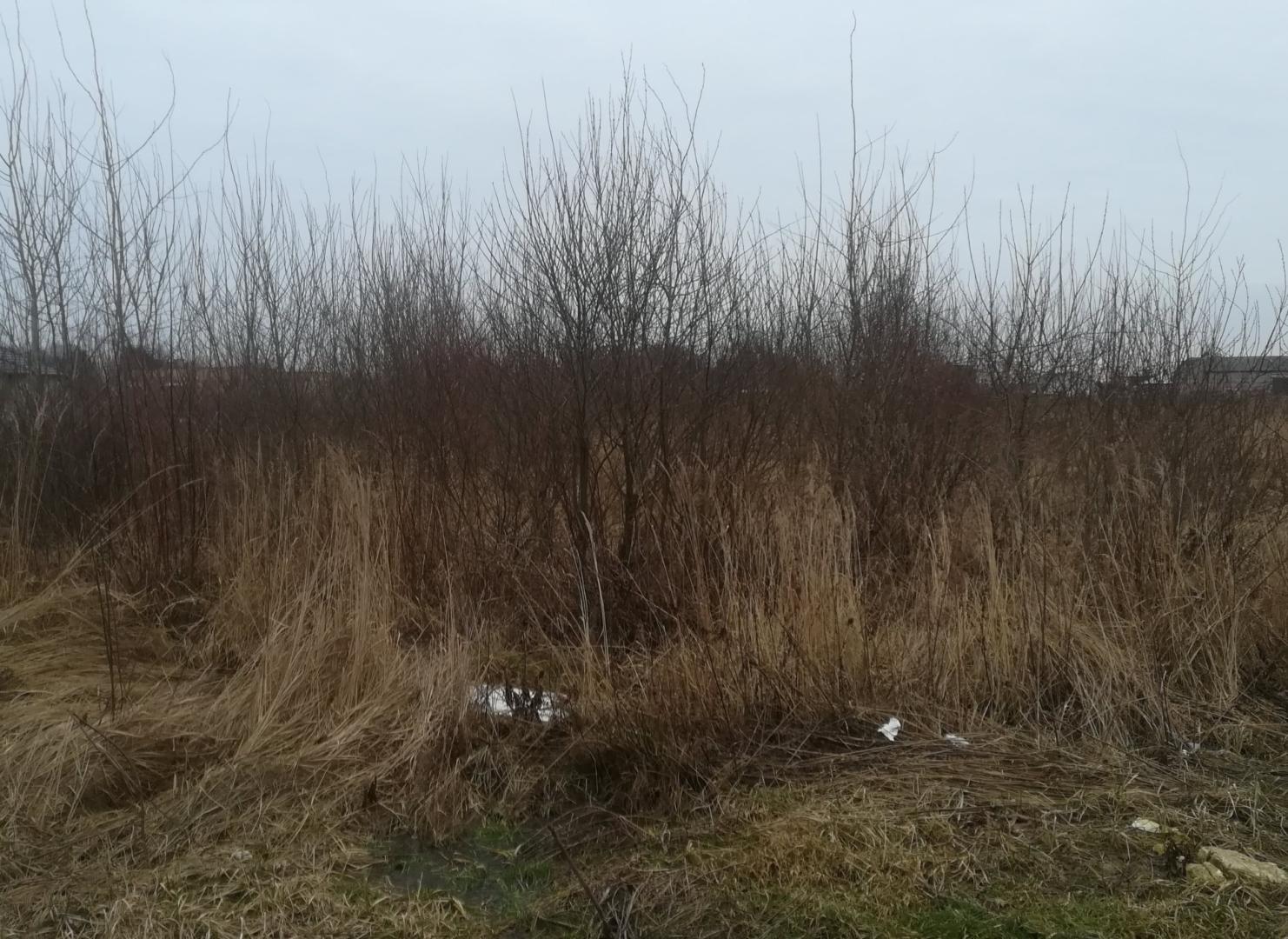 sprzątanie działek i pomieszczeń Usługi rembakiem