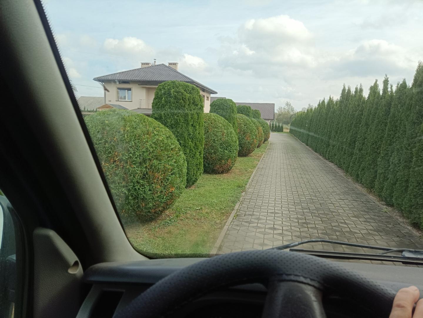 Wycinka drzew, żywopłoty, wertykulacje, usługi
