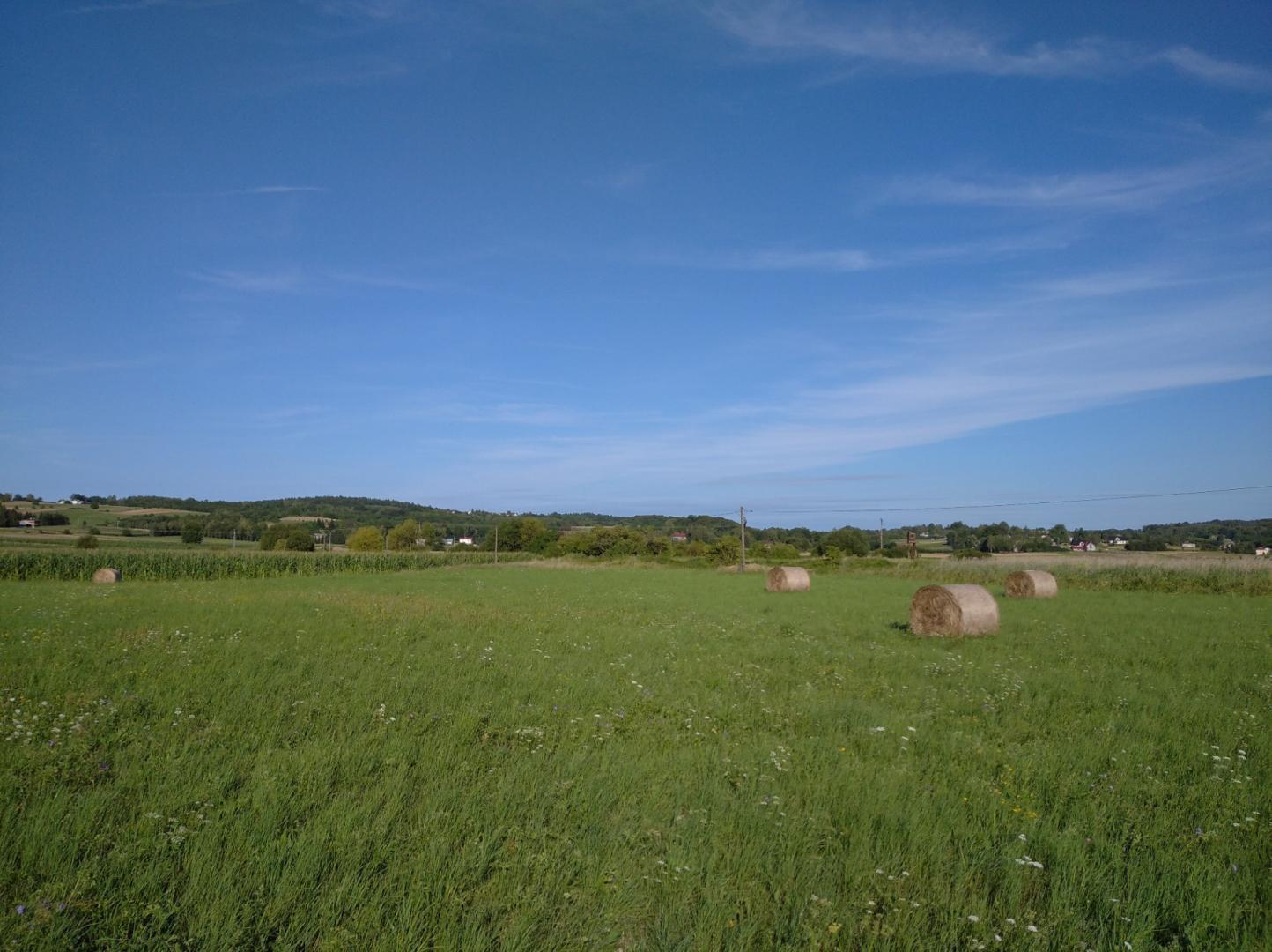 Sprzedam działkę rolną, Tarnowiec 590 zł/ar