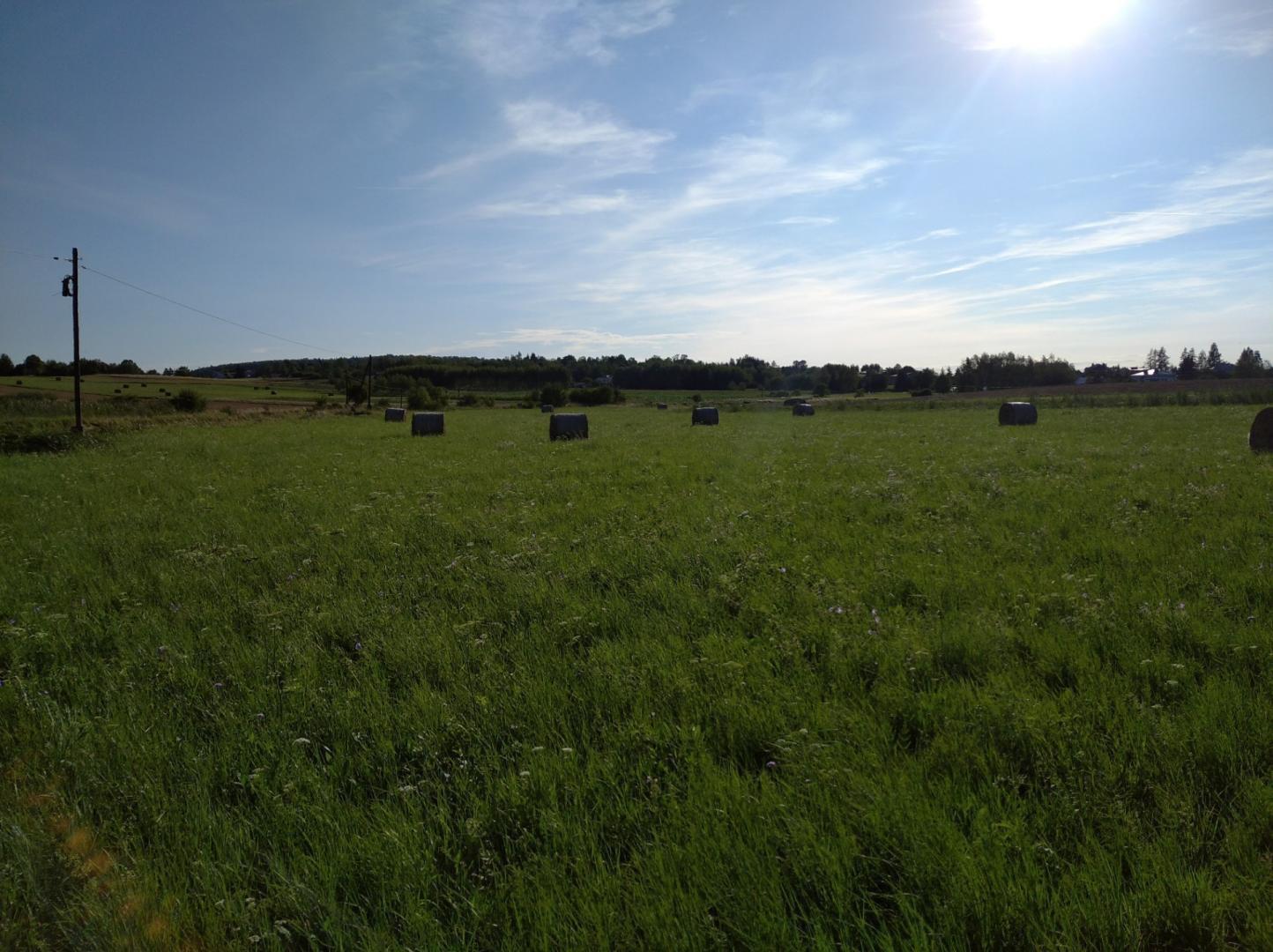 Sprzedam działkę rolną, Tarnowiec 590 zł/ar
