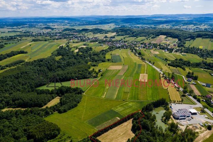 lalin  - działka dla miłośników przyrody,  nowa cena
