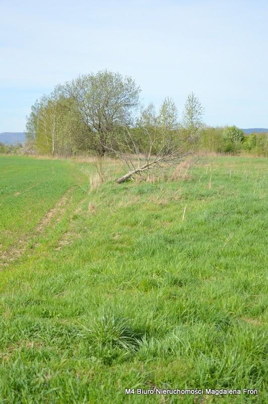 Działka z warunkami zabudowy w Krośnie.