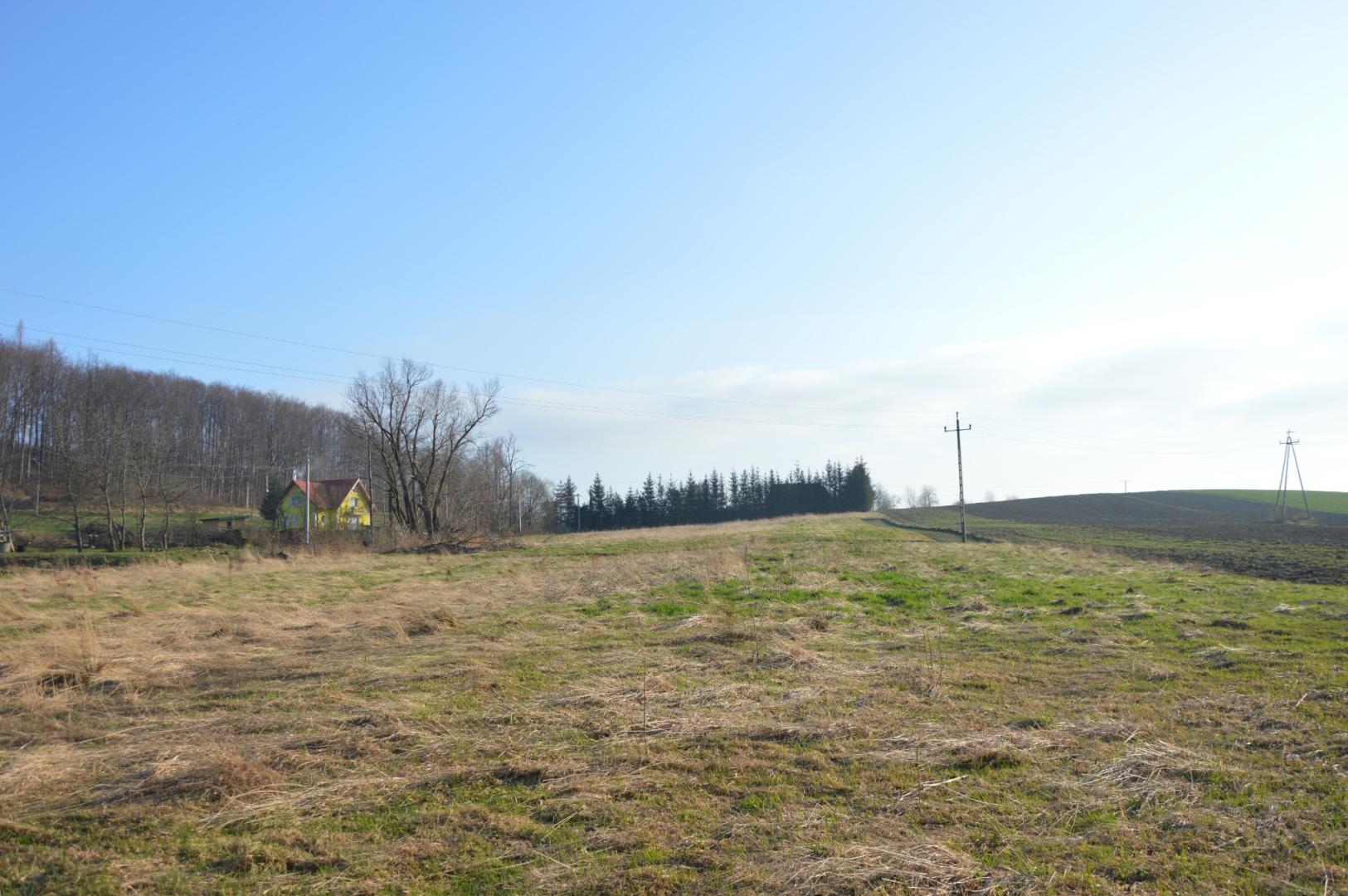 Atrakcyjne działki budowlane zaledwie 1km od Zapory w Sieniawie.