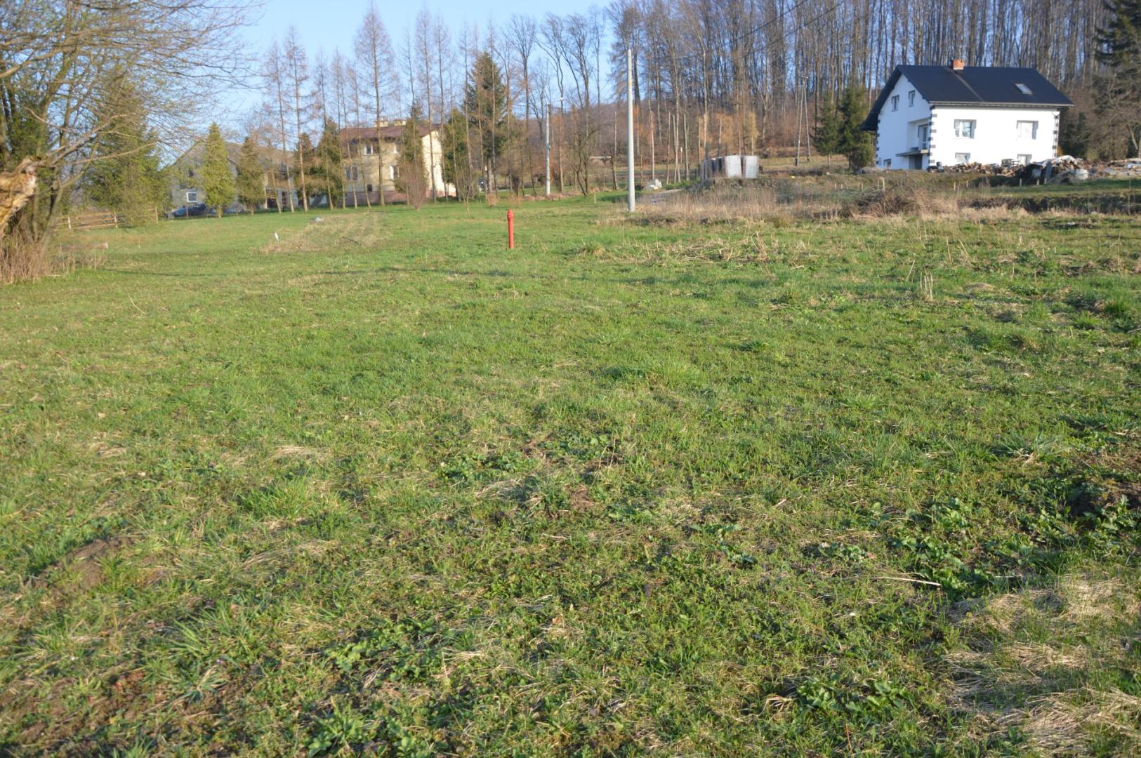 Atrakcyjne działki budowlane zaledwie 1km od Zapory w Sieniawie.