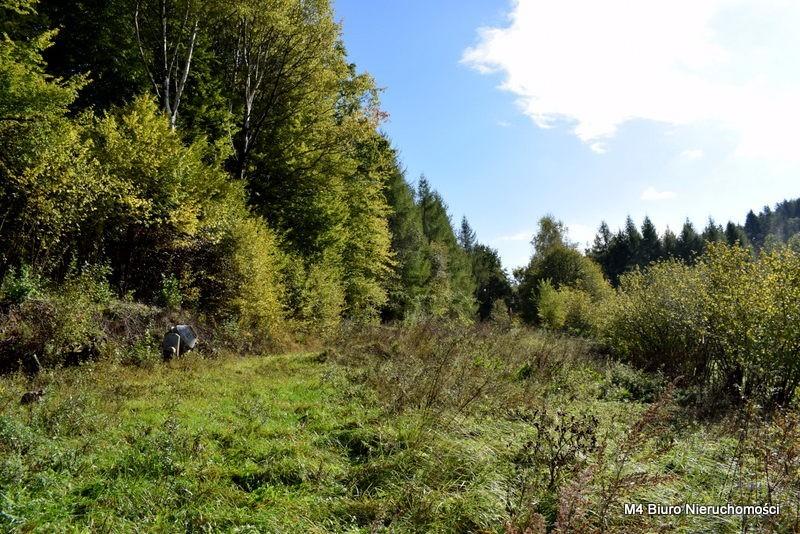 Piękna działka widokowa w Rymanowie Zdroju