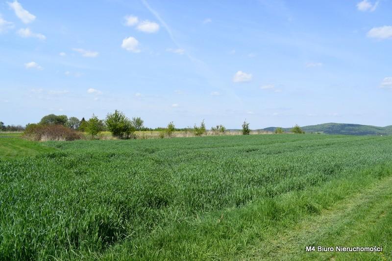 3 piękne widokowe działki rolne w Krośnie