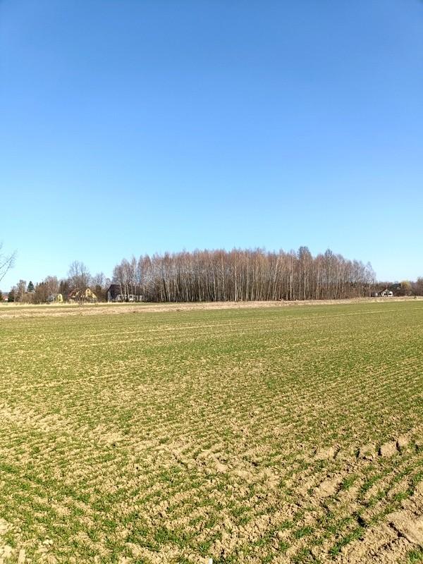 Urokliwe działki w Świerzowej Polskiej