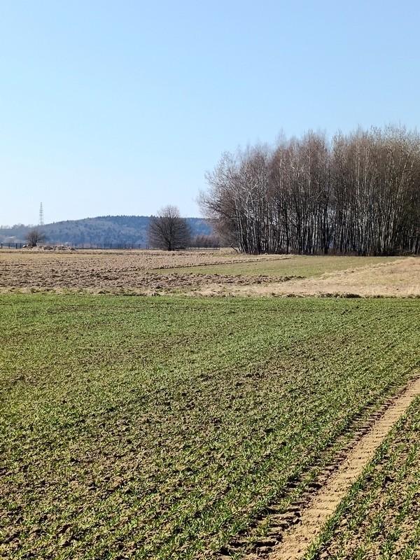 Urokliwe działki w Świerzowej Polskiej