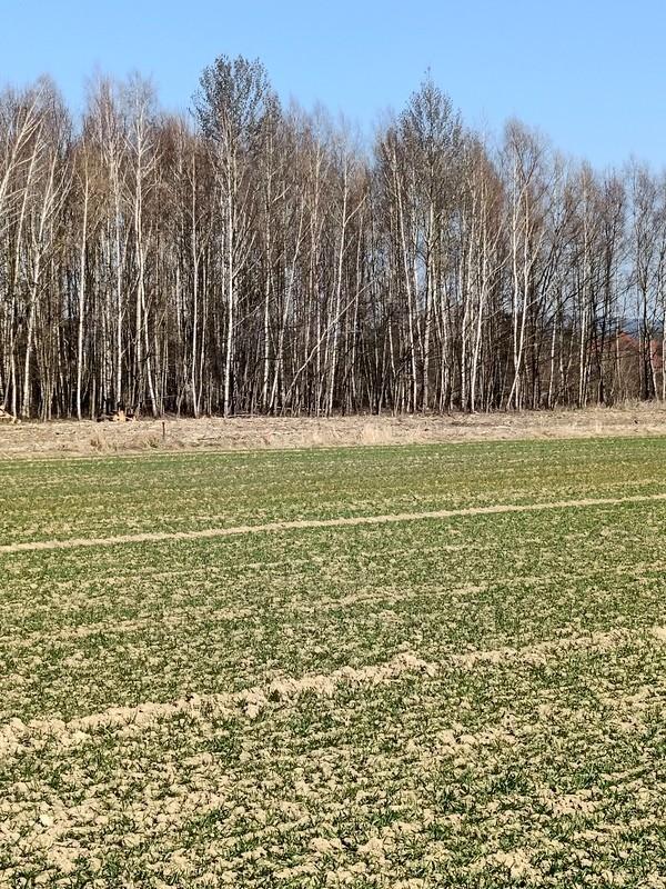 Urokliwe działki w Świerzowej Polskiej