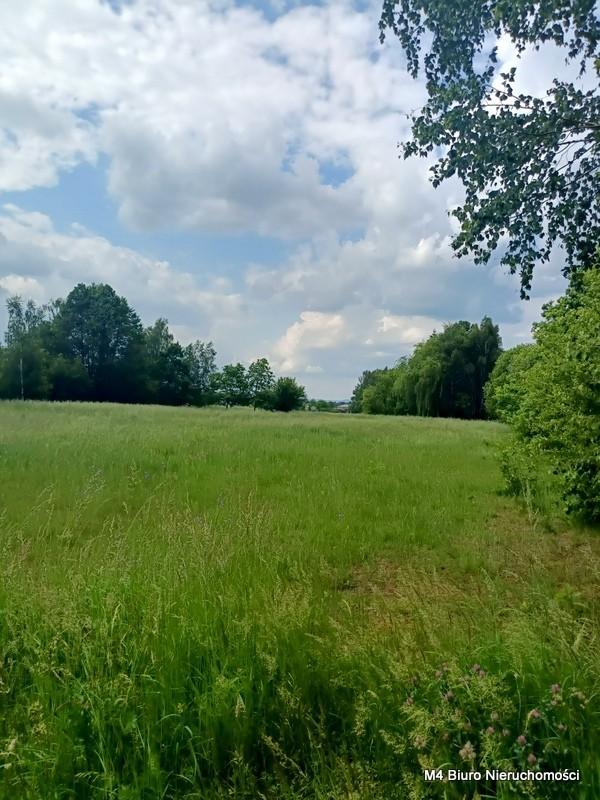 Działka w Świerzowej Polskiej 24ar.
