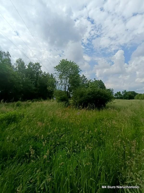 Działka w Świerzowej Polskiej 24ar.