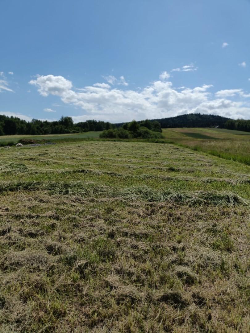 Widokowa działka budowlana - 20 arów, Lutcza.