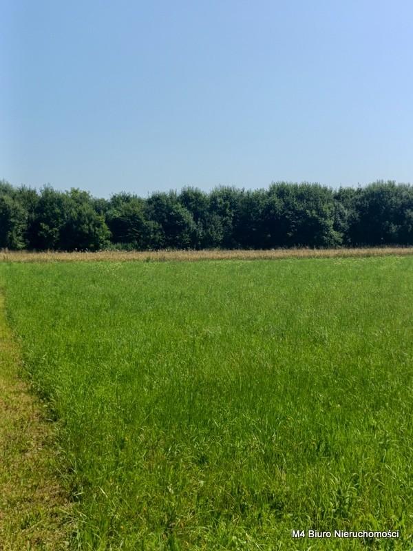 Widokowa działka w Dobieszynie