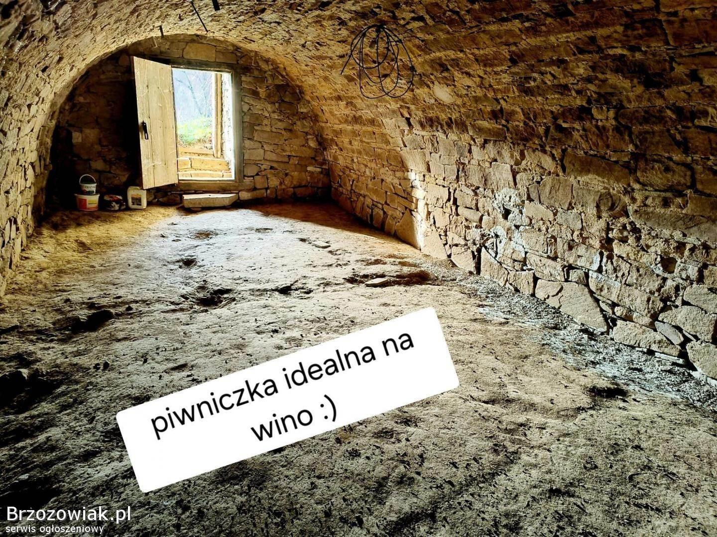 Siedlisko na podkarpaciu. 90 ar. - Świetna Cena