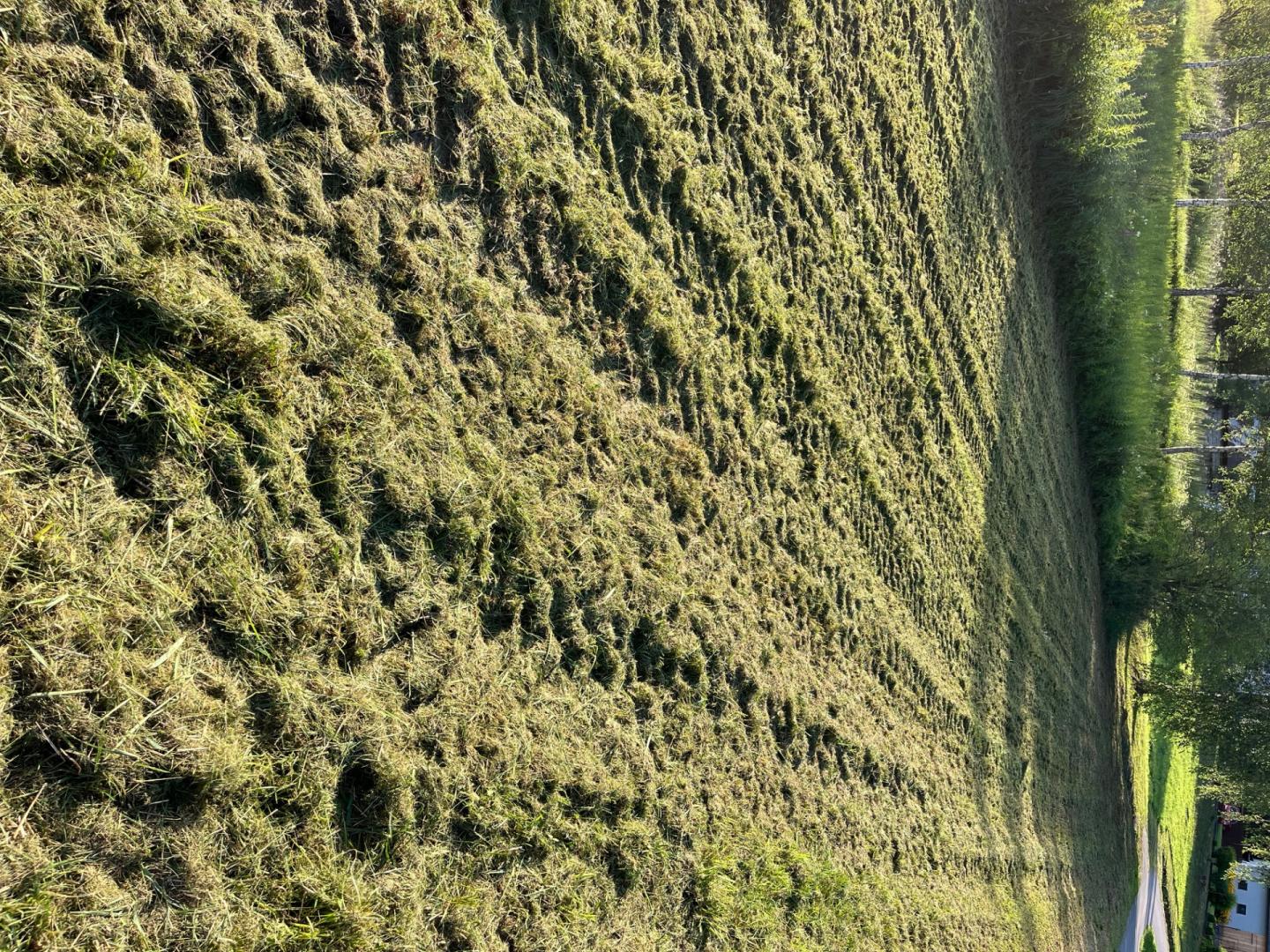 Koszenie kosiarką bijakową