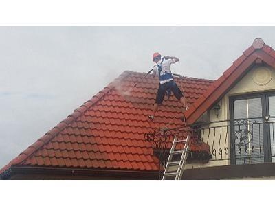 profesjonalne mycie dachów