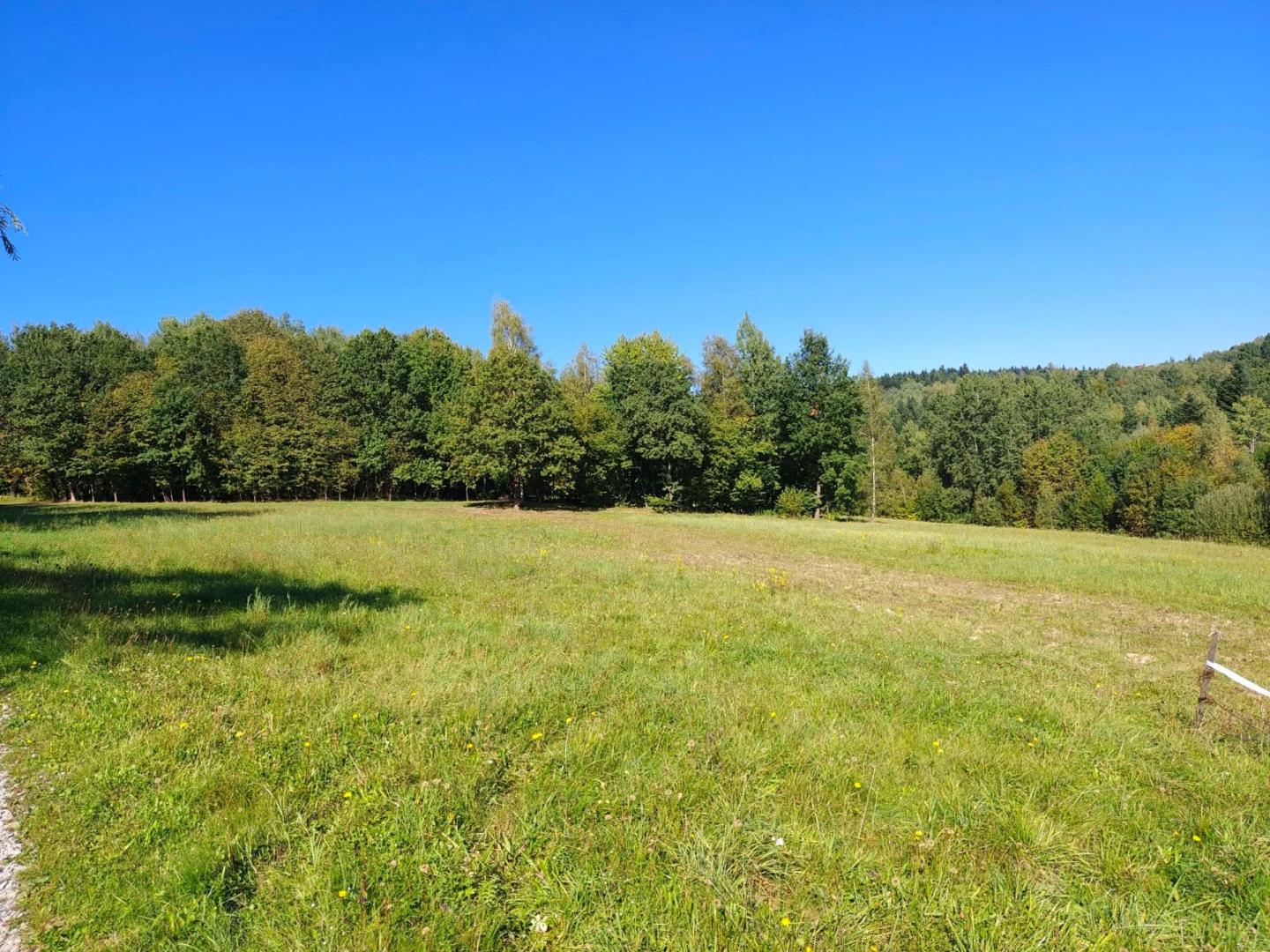 Bączal Dolny 116 ar przy lesie