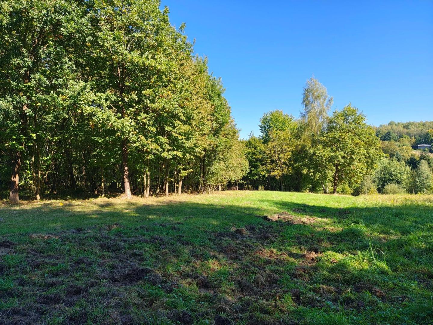 Bączal Dolny 116 ar przy lesie