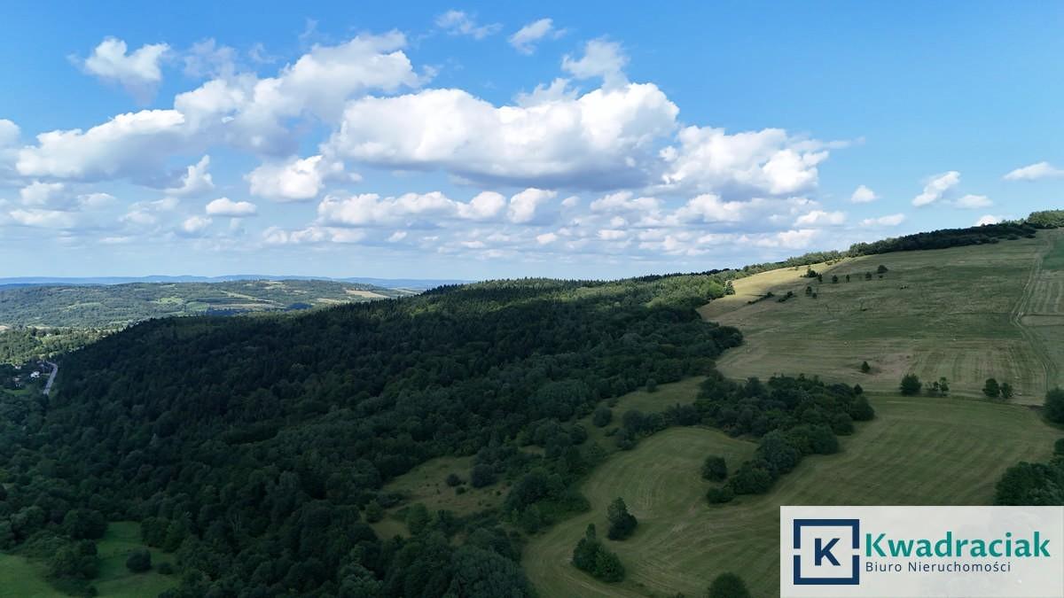 Działki rolno leśne w Iwli