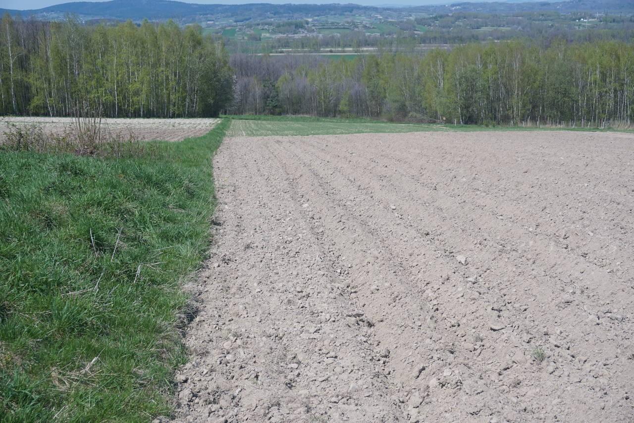 Sprzedam dwie działki budowlane w Kopaninach koło Dębowca