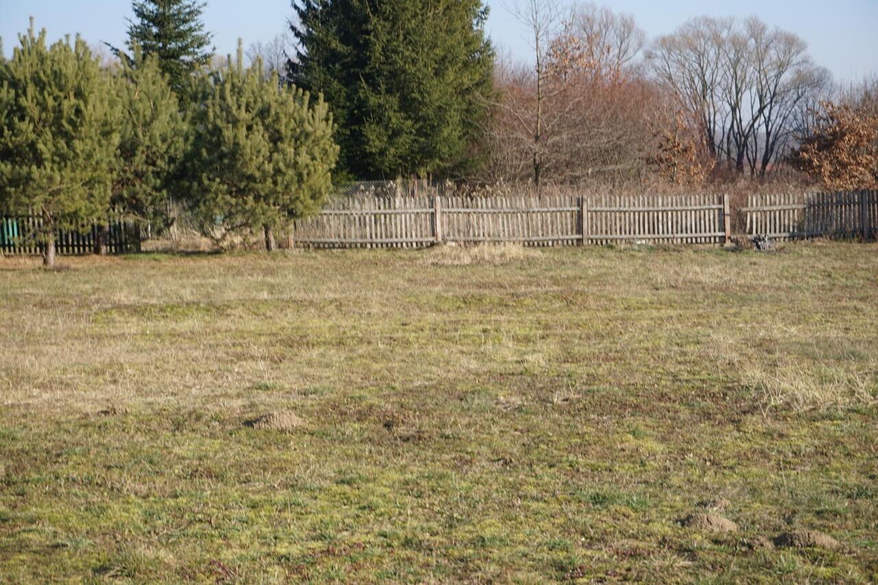 Sprzedam cztery działki budowlane w Niegłowicach