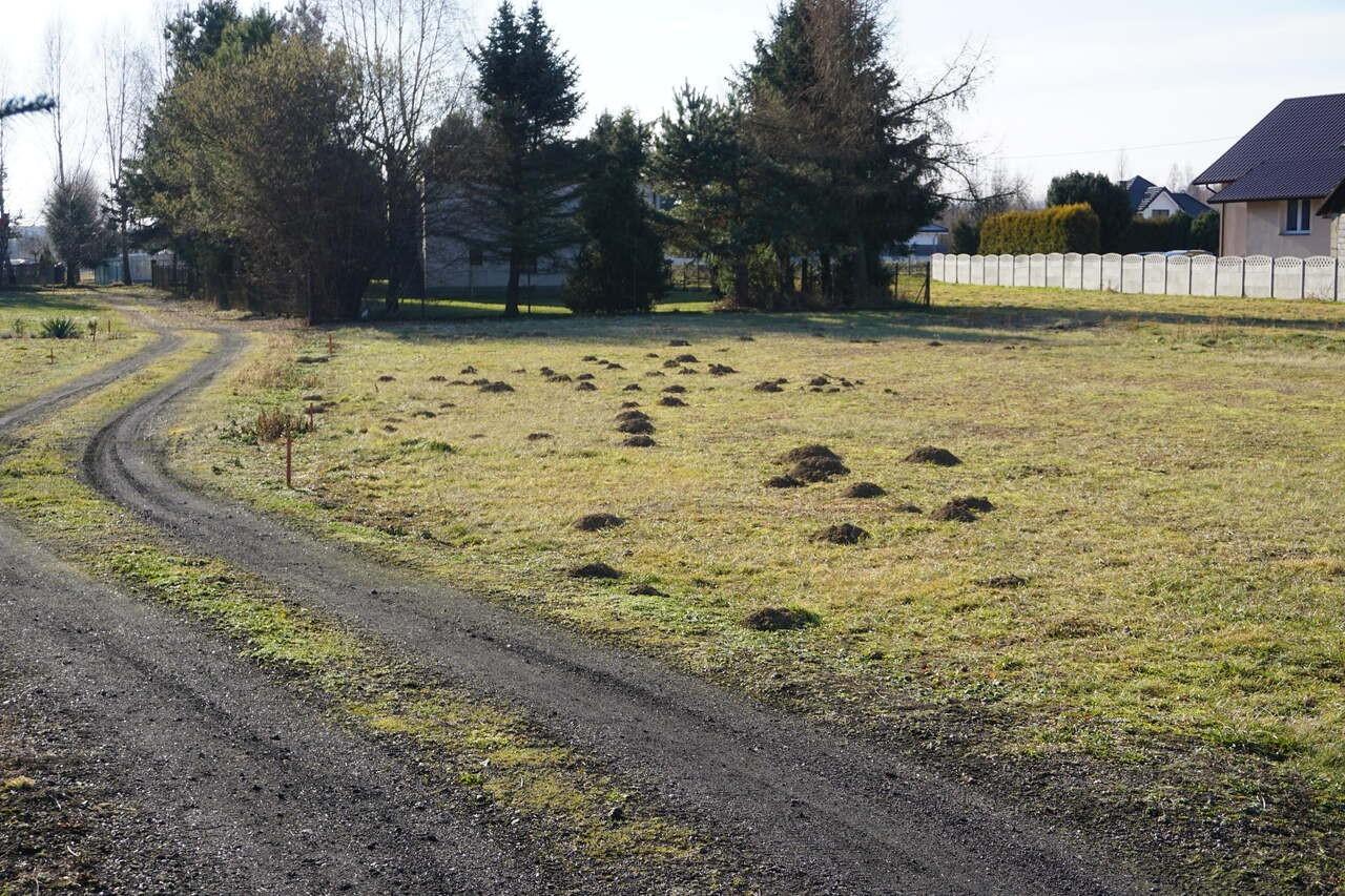 Sprzedam cztery działki budowlane w Niegłowicach