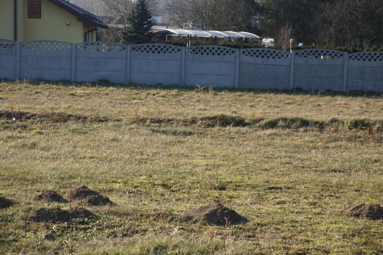 Sprzedam cztery działki budowlane w Niegłowicach