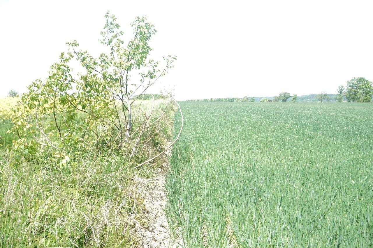 Sprzedam działkę inwestycyjną przy drodze Jasło-Krosno na Podkarpaciu.
