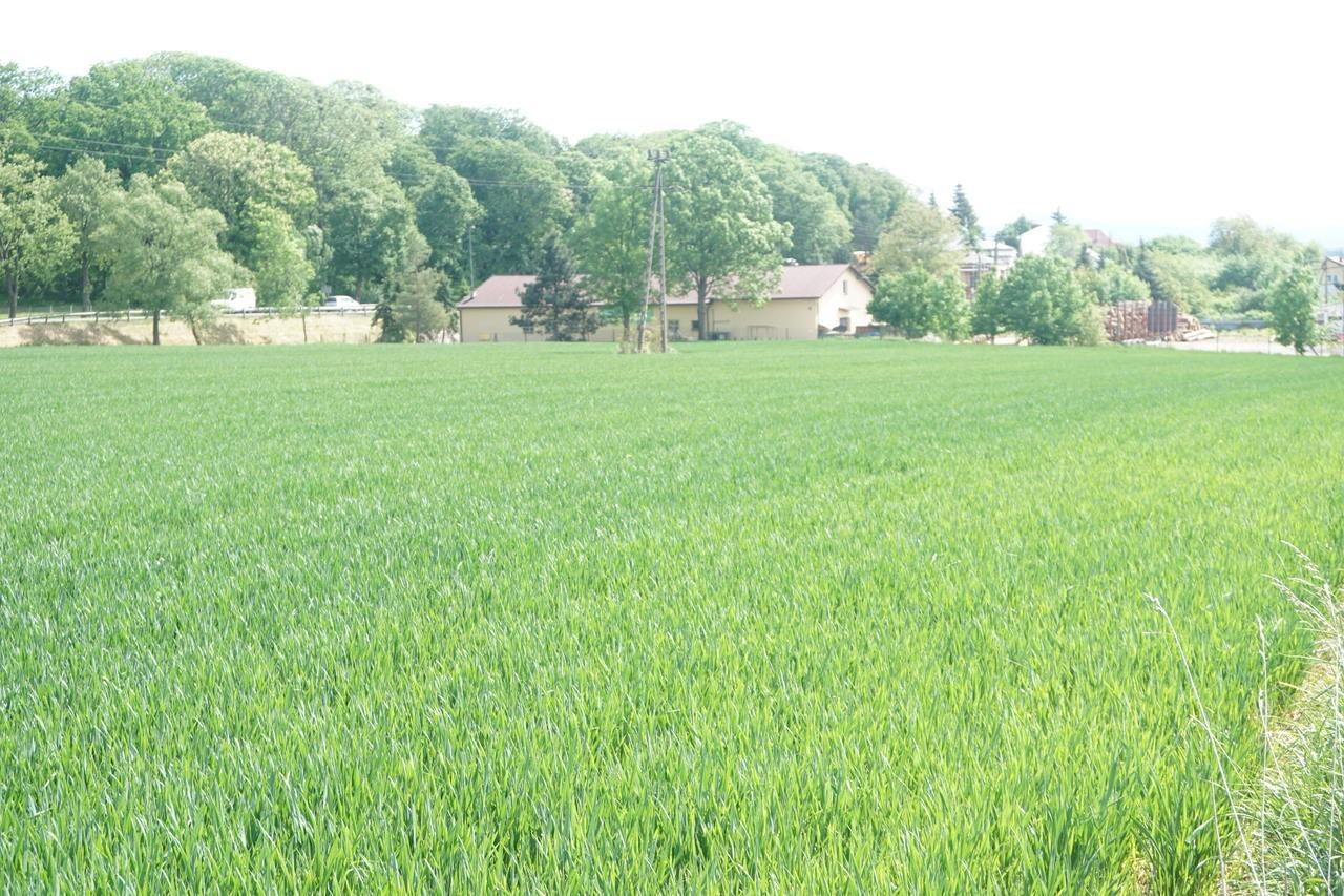Sprzedam działkę inwestycyjną przy drodze Jasło-Krosno na Podkarpaciu.