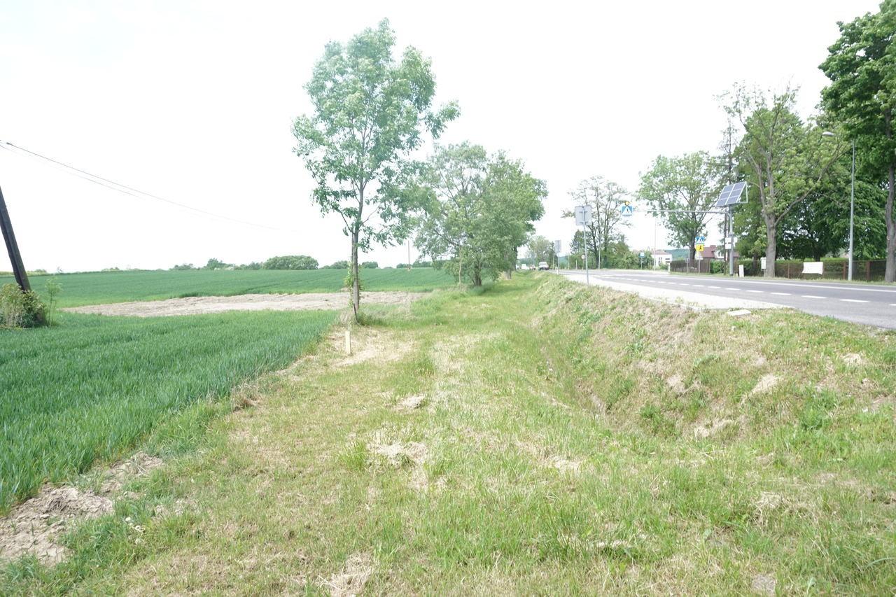 Sprzedam działkę inwestycyjną przy drodze Jasło-Krosno na Podkarpaciu.