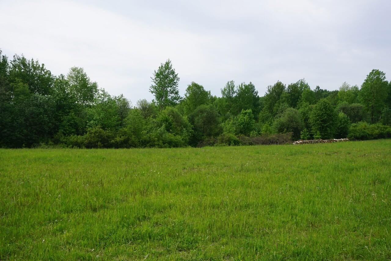 Sprzedam atrakcyjną działkę w Draganowej gm. Chorkówka pow. Krosno.