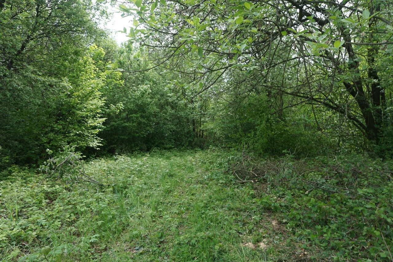 Sprzedam atrakcyjną działkę w Draganowej gm. Chorkówka pow. Krosno.