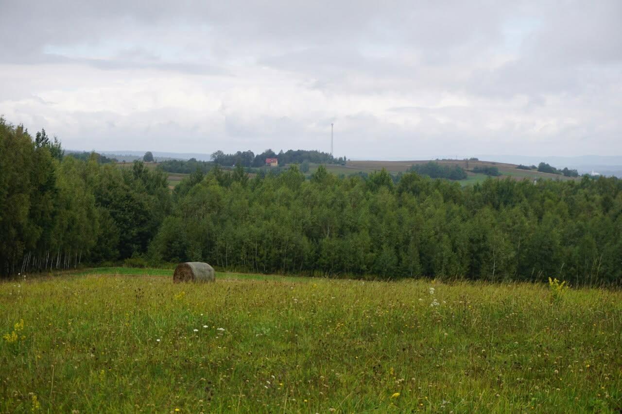 Sprzedam działkę z MPZP w Łajscach gm. Tarnowiec pow. Jasło