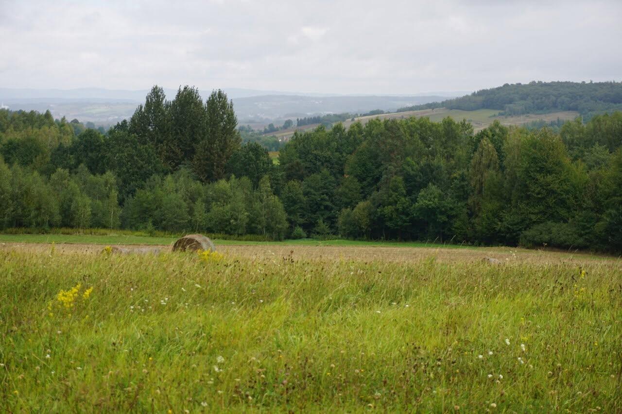 Sprzedam działkę z MPZP w Łajscach gm. Tarnowiec pow. Jasło