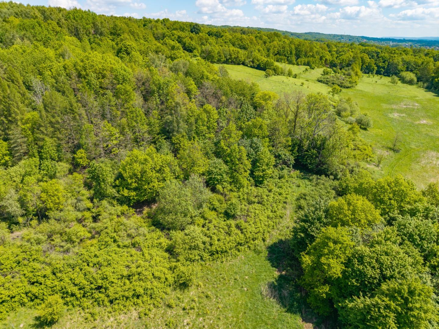 Działka przy lesie WZ na domek letniskowy Jasło