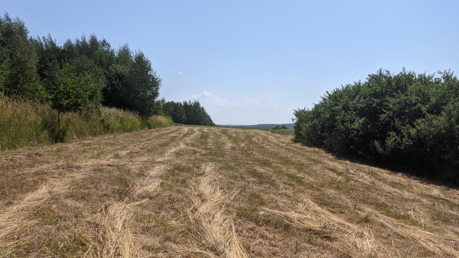 Działka rolna rekreacyjna / widokowa 0,10 ha Łężyny