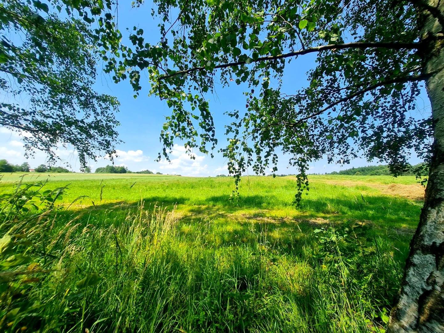 Siedlisko z domem i lasem, 3,10ha, Szerzyny