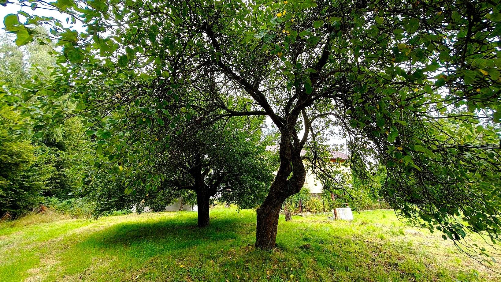 Siedlisko z domem i lasem, 3,10ha, Szerzyny