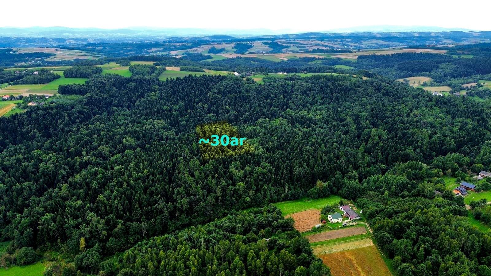 Siedlisko z domem i lasem, 3,10ha, Szerzyny