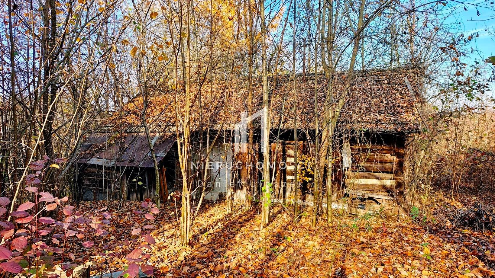Małe siedlisko z domem i gruntem, 48ar, Harklowa, gm. Skołyszyn