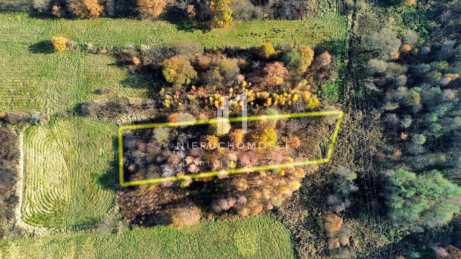 Małe siedlisko z domem i gruntem, 48ar, Harklowa, gm. Skołyszyn