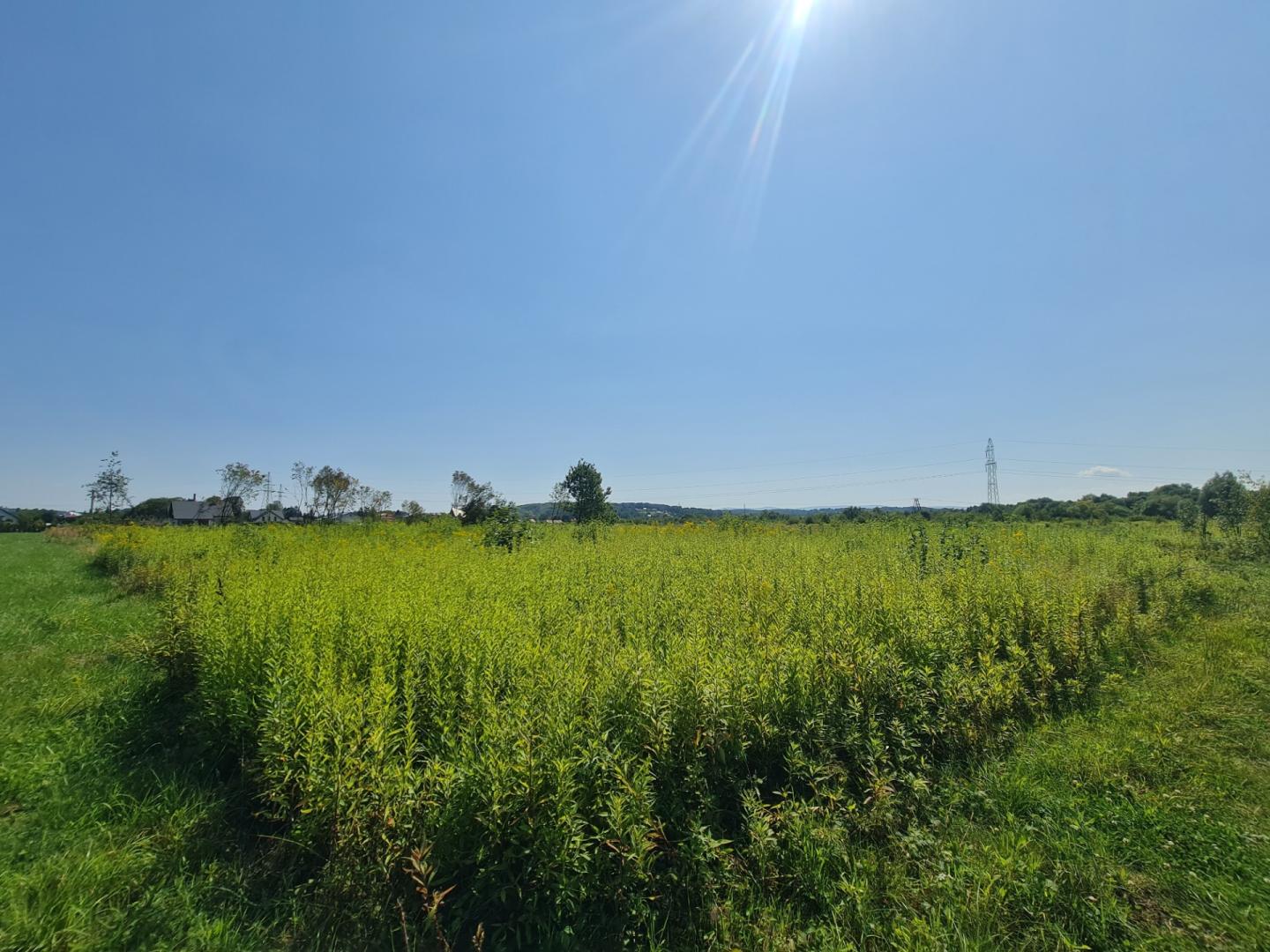 Dwie działki budowlane, Jasło, Wądoły